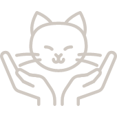 고양이 친화